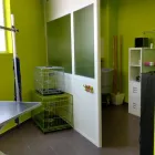 La imagen 1 de la Empresa ANIMAL KINGDOM CENTRO VETERINARIO Productos y Servicios de Cuidado Personal en Leganés M