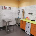 La imagen 7 de la Empresa ANIMAL KINGDOM CENTRO VETERINARIO Productos y Servicios de Cuidado Personal en Leganés M