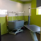 La imagen 10 de la Empresa ANIMAL KINGDOM CENTRO VETERINARIO Productos y Servicios de Cuidado Personal en Leganés M