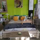 La imagen 1 de la Empresa BAMBOO GARDEN DECORATION Inmobiliaria y Reformas en Yuncler TO