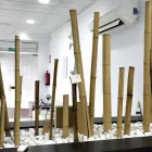 La imagen 6 de la Empresa CATALANO YUNCOS Salud y Medicina en Yuncos TO