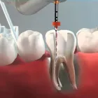 La imagen 14 de la Empresa CENTRO EUROPEO MÉDICO DENTAL Salud y Medicina en Alcobendas M