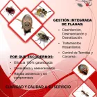 La imagen 1 de la Empresa CONTROL DE PLAGAS TOLEDO Servicios Profesionales y de Negocios en Toledo TO