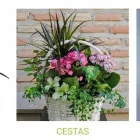La imagen 1 de la Empresa EDEN ARTE FLORAL Mayoristas en Toledo TO