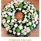 La imagen 4 de la Empresa EDEN ARTE FLORAL Mayoristas en Toledo TO