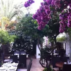 La imagen 8 de la Empresa EL NARANJO IBIZA Restaurantes en Santa Eulària des Riu IB