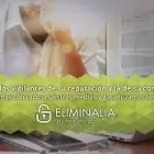 La imagen 5 de la Empresa ELIMINALIA Servicios Profesionales y de Negocios en Barcelona B