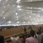 La imagen 7 de la Empresa EVENTOP CARPAS Organización De Eventos en Montcada i Reixac B