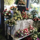 La imagen 1 de la Empresa FLORISTERÍA DECOFLOR Organizador de Bodas en Toledo TO