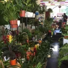 La imagen 4 de la Empresa FLORISTERÍA DECOFLOR Organizador de Bodas en Toledo TO