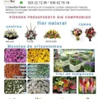 La imagen 6 de la Empresa FLORISTERÍA DECOFLOR Organizador de Bodas en Toledo TO