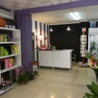 La imagen 1 de la Empresa FLORISTERIA ROSELLES I ROSES Industrias y Agricultura en Palma de Mallorca IB