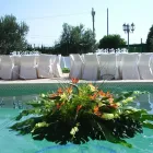 La imagen 3 de la Empresa FLORS I VERDESCA Industrias y Agricultura en Palma de Mallorca IB