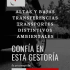 La imagen 25 de la Empresa GESTORÍA JAVIER MARÍN Servicios Legales y Financieros en Cala Millor IB