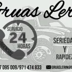 La imagen 11 de la Empresa GRÚAS LERIN Servicios Profesionales y de Negocios en Palma de Mallorca IB