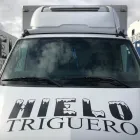 La imagen 1 de la Empresa HIELO TRIGUERO Servicios Profesionales y de Negocios en Cisneros P