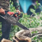 La imagen 2 de la Empresa JARDINERÍA MADRID NORTE Servicios Profesionales y de Negocios en San Sebastián de los Reyes M