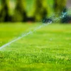 La imagen 4 de la Empresa JARDINERÍA MADRID NORTE Servicios Profesionales y de Negocios en San Sebastián de los Reyes M