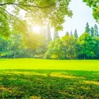 La imagen 5 de la Empresa JARDINERÍA MADRID NORTE Servicios Profesionales y de Negocios en San Sebastián de los Reyes M