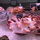 La imagen 13 de la Empresa LA MAROTECA PESCADO SALVAJE ARIBAU Restaurantes Mediterráneos en Barcelona B