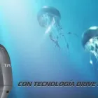 La imagen 2 de la Empresa NOVA NÁUTICA MALLORCA Embarcaciones en Palma IB