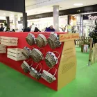 La imagen 16 de la Empresa PUNTO SINGULAR MARKETING EXPERIENCIAL Y EVENTOS Servicios Profesionales y de Negocios en Barcelona B