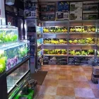 La imagen 4 de la Empresa PZES ONLINE Compras en Alcorcón M