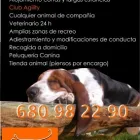 La imagen 1 de la Empresa RESIDENCIA CANINA CANE Compras en Las Rozas De Madrid M
