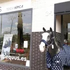 La imagen 2 de la Empresa TERRAEQUUS Deportes y Recreación en Getafe M
