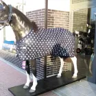 La imagen 3 de la Empresa TERRAEQUUS Deportes y Recreación en Getafe M