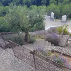 La imagen 2 de la Empresa VINAGRELLA JARDINS Servicios Profesionales y de Negocios en S'aranjassa IB