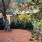 La imagen 3 de la Empresa VINAGRELLA JARDINS Servicios Profesionales y de Negocios en S'aranjassa IB