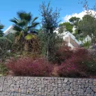 La imagen 4 de la Empresa VINAGRELLA JARDINS Servicios Profesionales y de Negocios en S'aranjassa IB