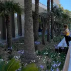 La imagen 6 de la Empresa VINAGRELLA JARDINS Servicios Profesionales y de Negocios en S'aranjassa IB