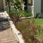 La imagen 7 de la Empresa VINAGRELLA JARDINS Servicios Profesionales y de Negocios en S'aranjassa IB