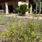 La imagen 9 de la Empresa VINAGRELLA JARDINS Servicios Profesionales y de Negocios en S'aranjassa IB