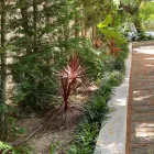 La imagen 15 de la Empresa VINAGRELLA JARDINS Servicios Profesionales y de Negocios en S'aranjassa IB