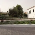 La imagen 16 de la Empresa VINAGRELLA JARDINS Servicios Profesionales y de Negocios en S'aranjassa IB