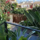La imagen 17 de la Empresa VINAGRELLA JARDINS Servicios Profesionales y de Negocios en S'aranjassa IB