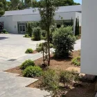 La imagen 22 de la Empresa VINAGRELLA JARDINS Servicios Profesionales y de Negocios en S'aranjassa IB