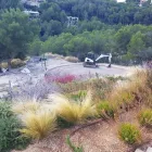 La imagen 24 de la Empresa VINAGRELLA JARDINS Servicios Profesionales y de Negocios en S'aranjassa IB