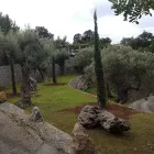 La imagen 26 de la Empresa VINAGRELLA JARDINS Servicios Profesionales y de Negocios en S'aranjassa IB