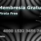 La imagen 1 de la Empresa VISITAS PIRATA - GENERADOR DE TRAFICO WEB Servicios Profesionales y de Negocios en Barcelona B
