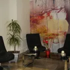 La imagen 1 de la Empresa VIVE ESTÉTICA MALLORCA C.B. Salud y Medicina en Palma de Mallorca IB