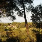 La imagen 2 de la Empresa WEARELOOKING en Sant Andreu de Llavaneres B
