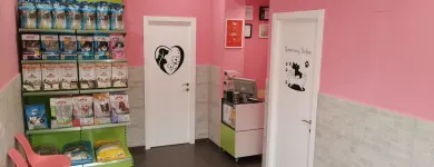 La imagen 8 de la Empresa ANIMAL KINGDOM CENTRO VETERINARIO Productos y Servicios de Cuidado Personal en Leganés M