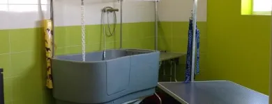 La imagen 10 de la Empresa ANIMAL KINGDOM CENTRO VETERINARIO Productos y Servicios de Cuidado Personal en Leganés M