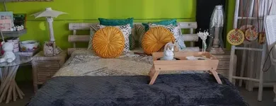 La imagen 1 de la Empresa BAMBOO GARDEN DECORATION Inmobiliaria y Reformas en Yuncler TO