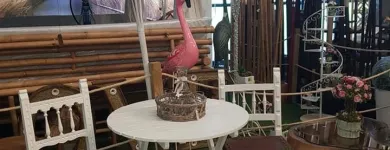 La imagen 4 de la Empresa BAMBOO GARDEN DECORATION Inmobiliaria y Reformas en Yuncler TO