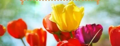 La imagen 5 de la Empresa BELLEZA Y ESTÉTICA NAZARET JIMÉNEZ Salones de Belleza en Yuncler TO